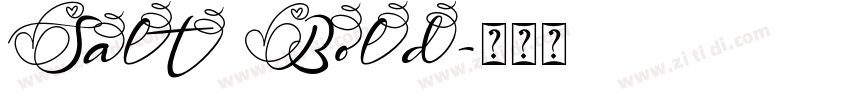 Salt Bold字体转换